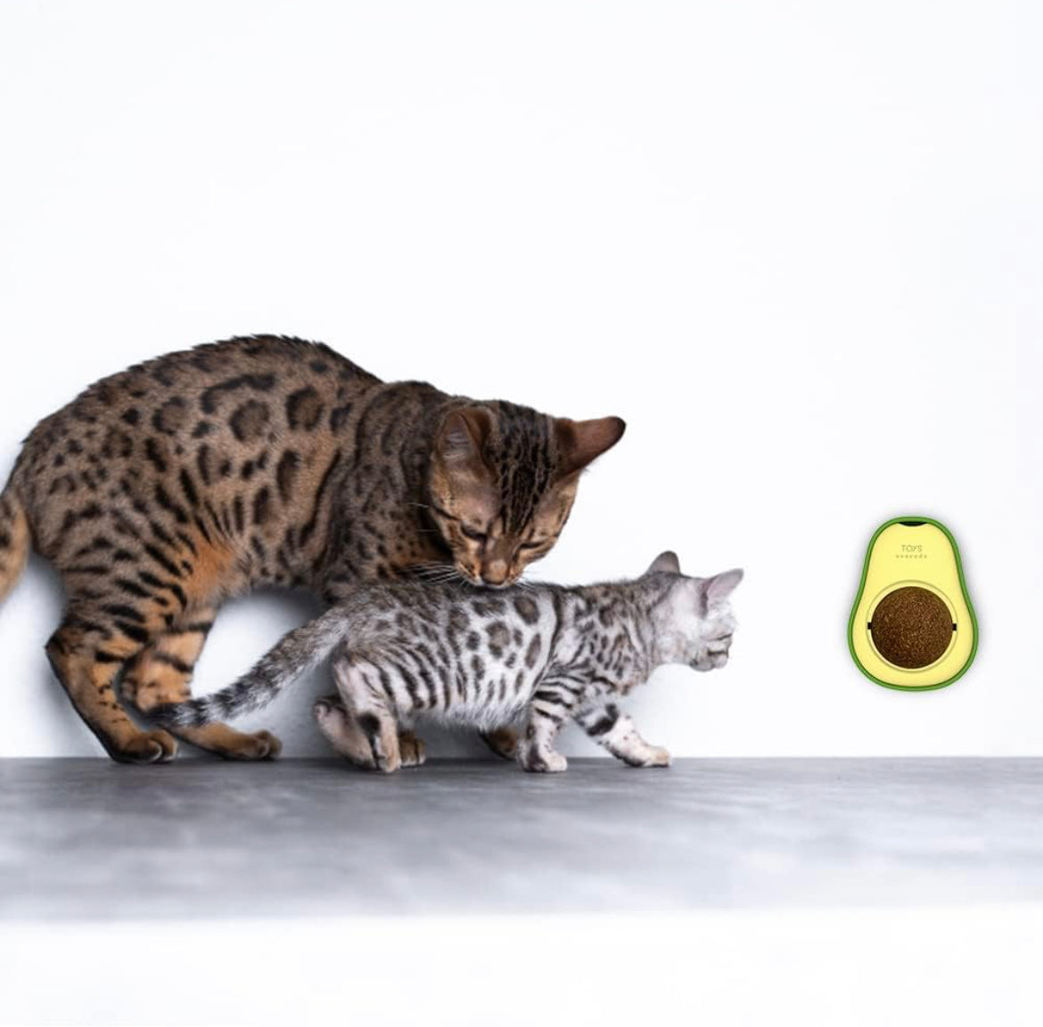 Natural Avocado Catnip Toy | Cat Snack Ball Rotatable Teeth Cleaning Bite-Resistant