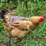 Load image into Gallery viewer, Chicken Saddle Vest
