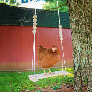 Chicken Swing Toy for Coop | Handmade Natural Safe Wood